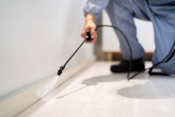 Licensed Mosquito Control service in La Crosse, KS - Show Me Pest Control