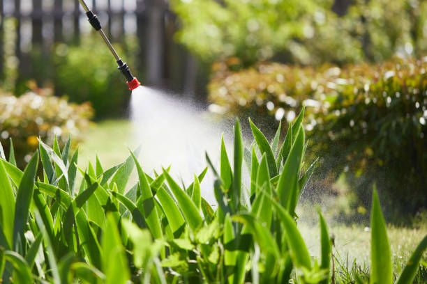 24/7 Emergency Mosquito Control experts in La Crosse, KS